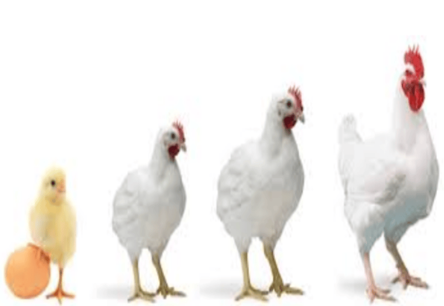 Screenshot from 2025-10-23 22-50-29