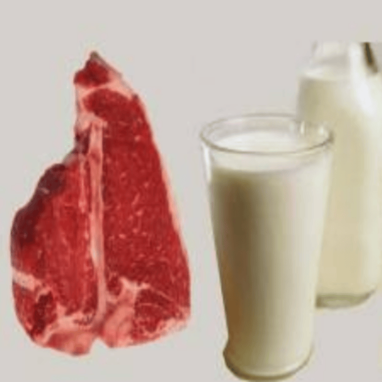 Screenshot from 2025-10-23 23-00-36